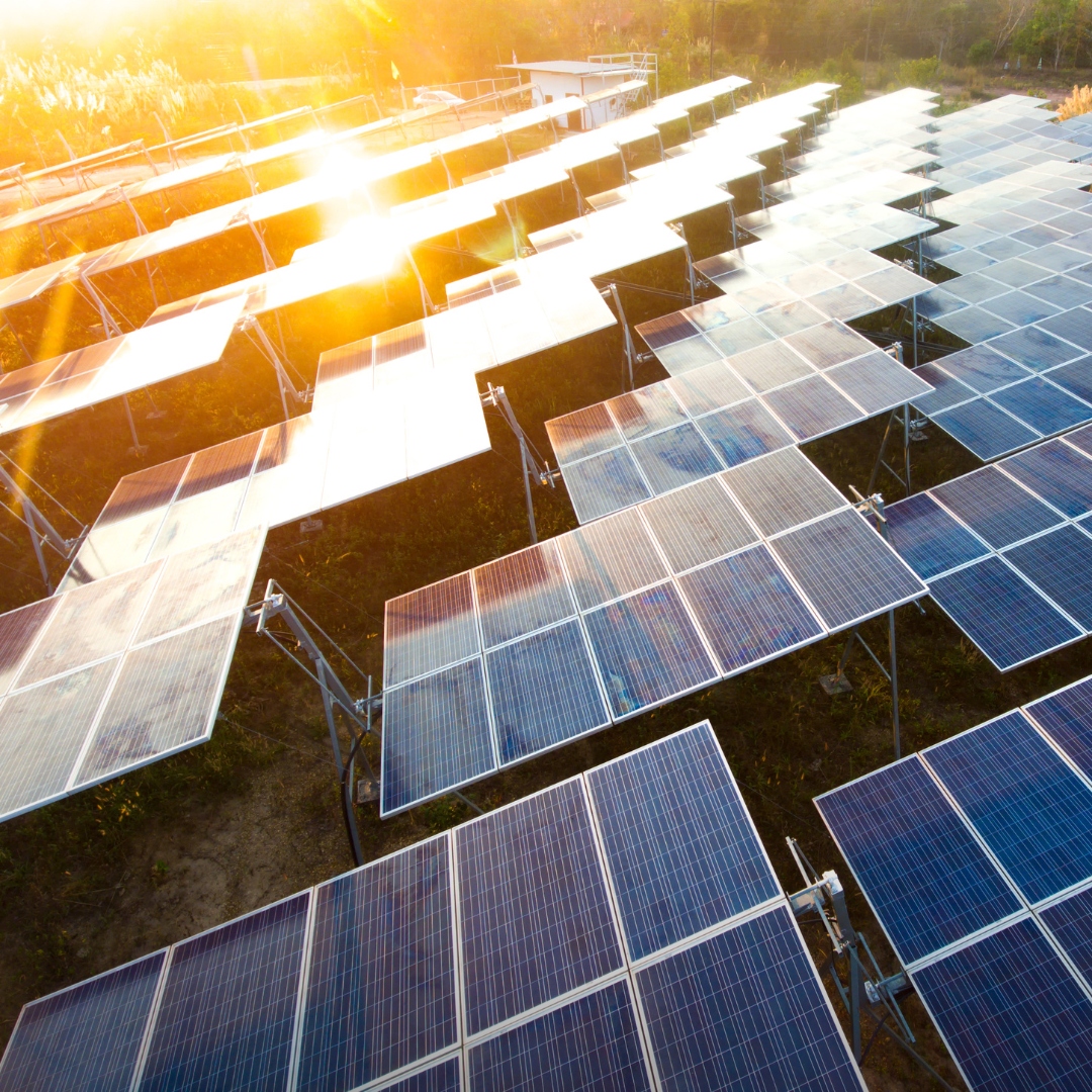 Solar Farm